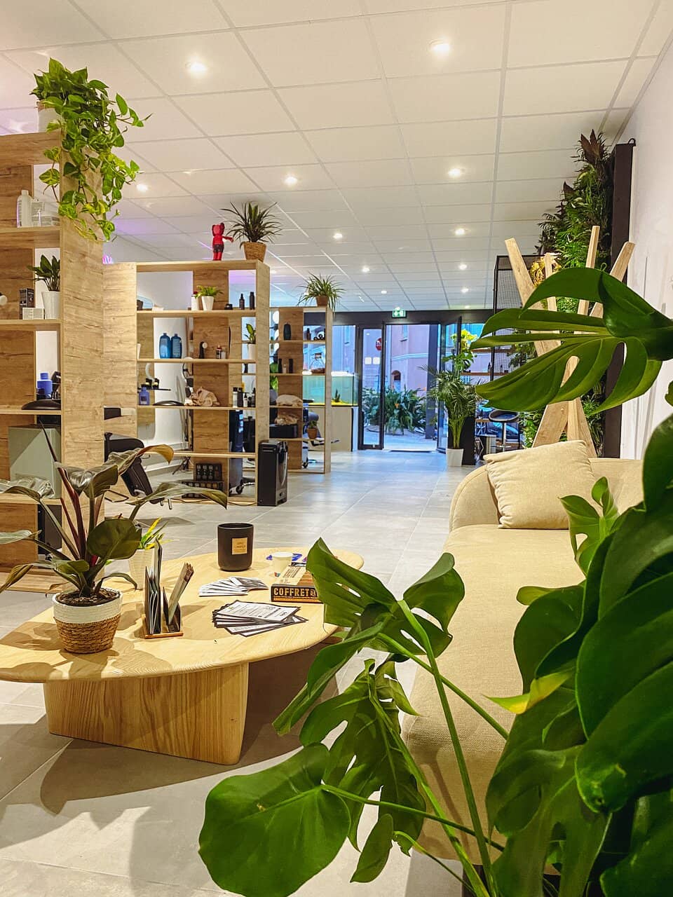 Boat Charters & Diving