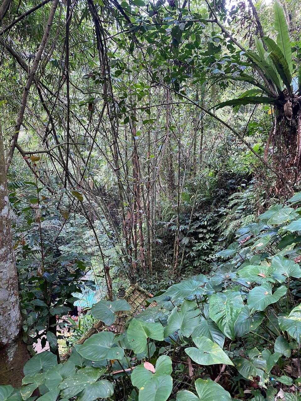 Ganesha Statue & Holy Springs