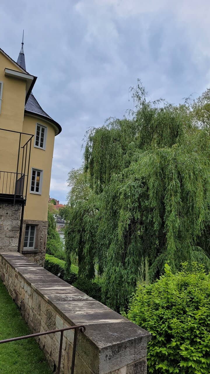 Neckar River Views
