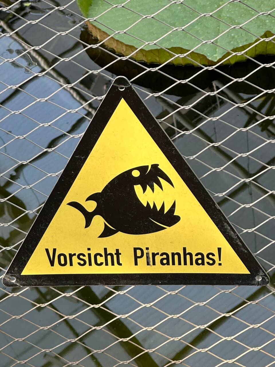 Peaceful Outdoor Gardens