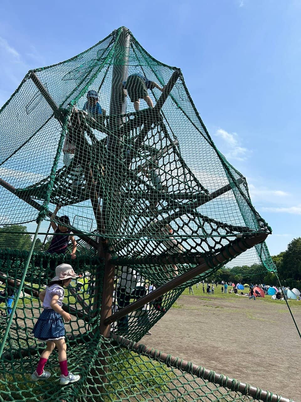 Vertical photo