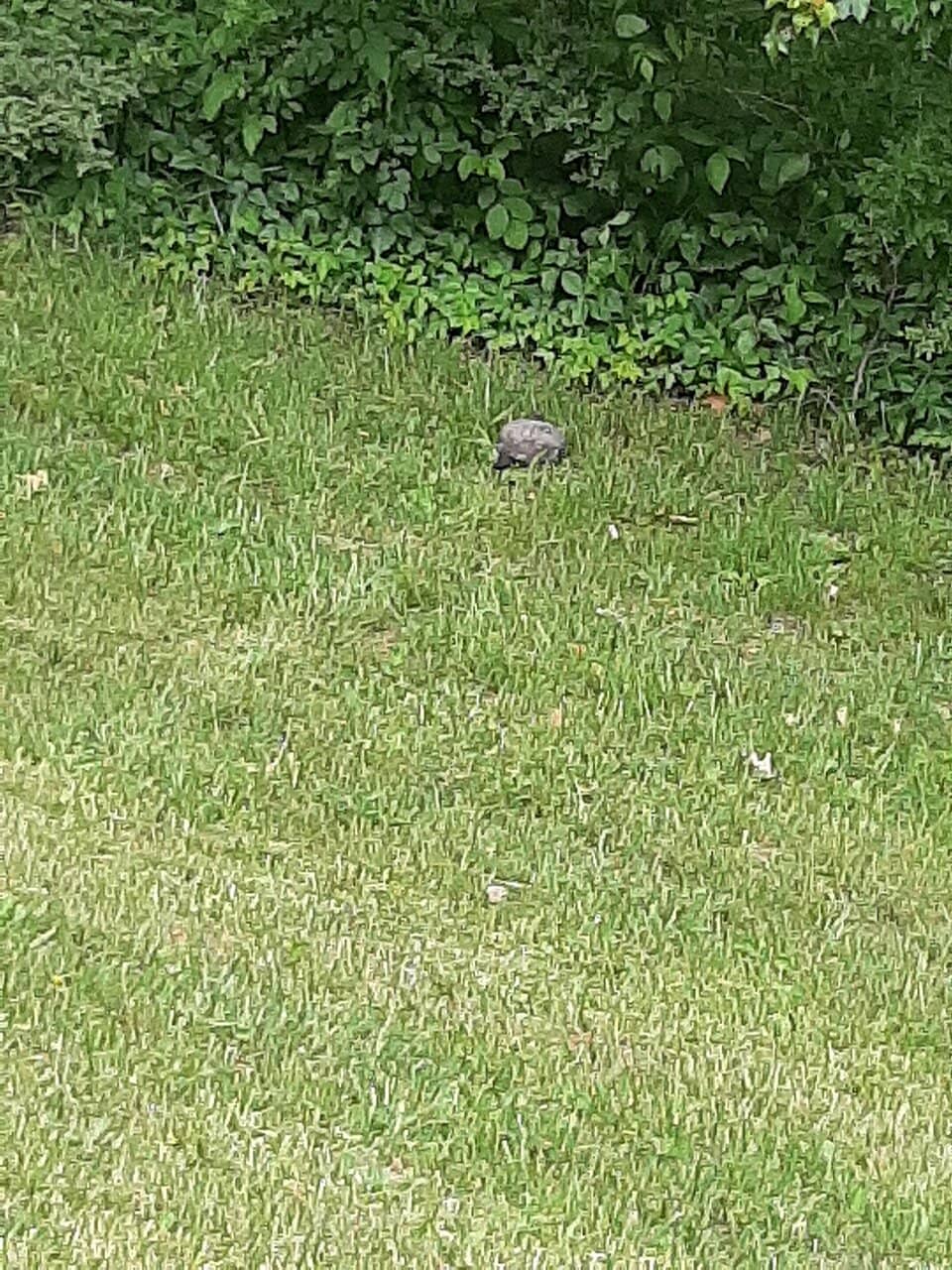 Lake Lenape Lighthouse