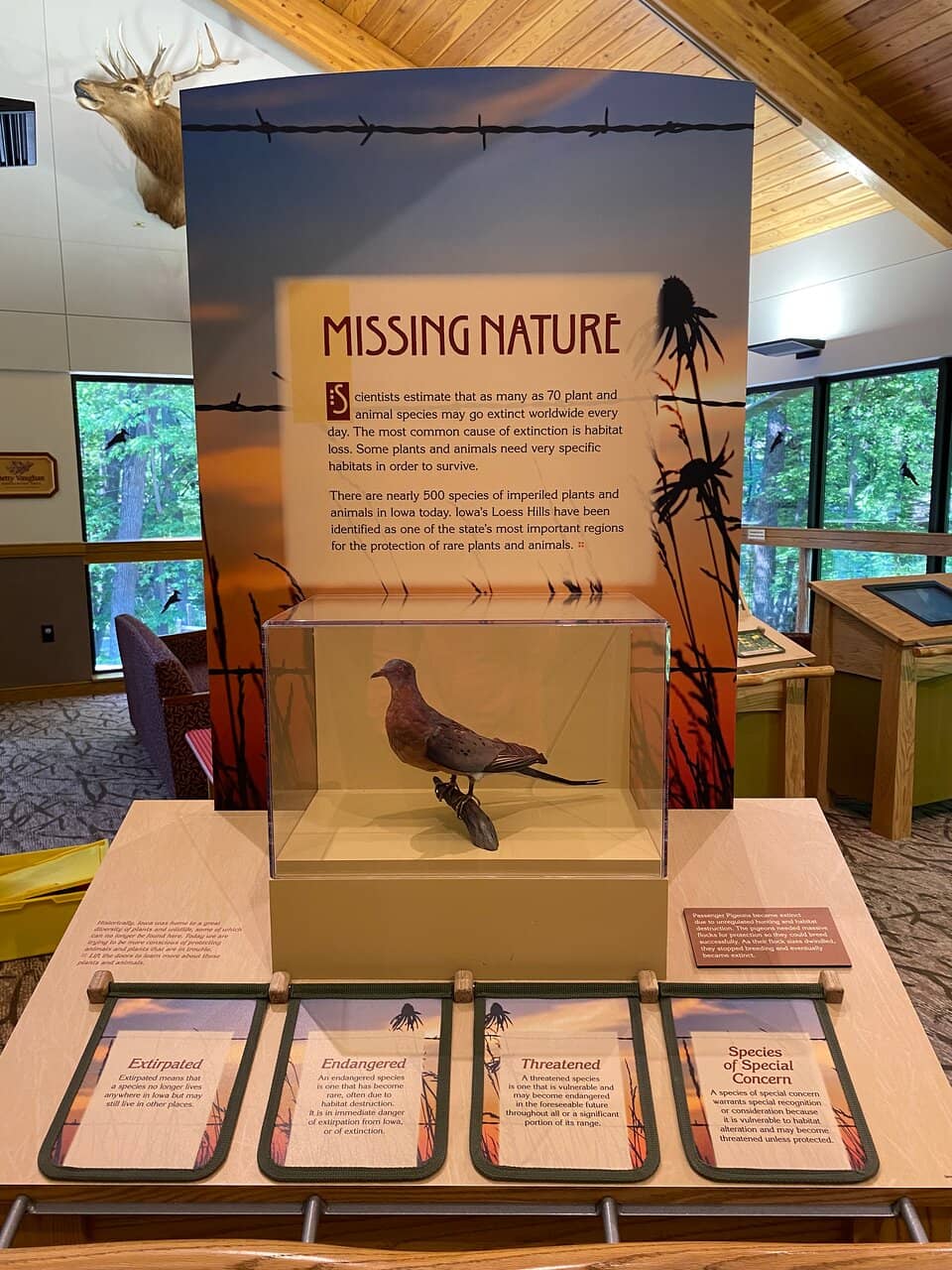 Scenic Hiking Trails