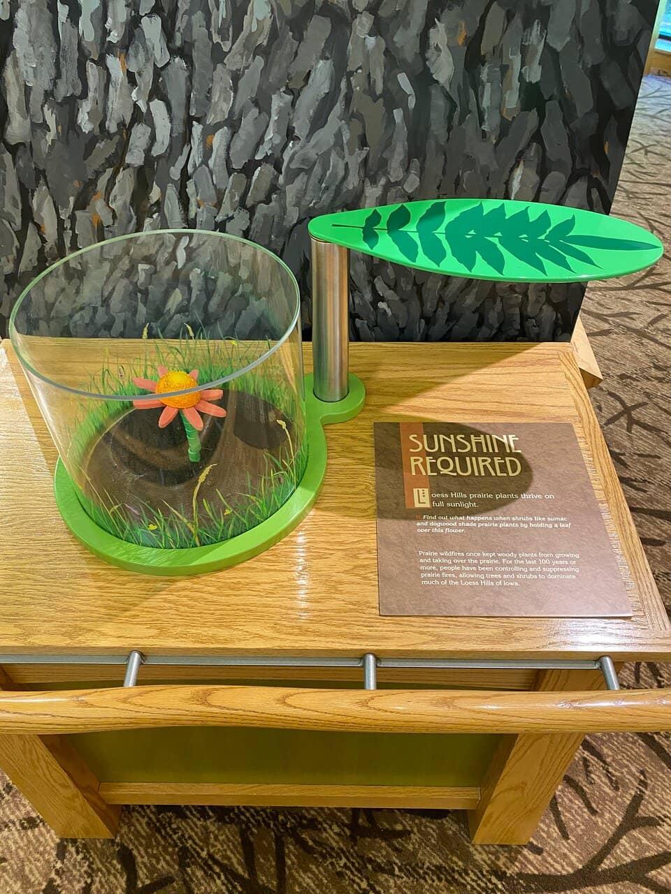 Live Raptor House