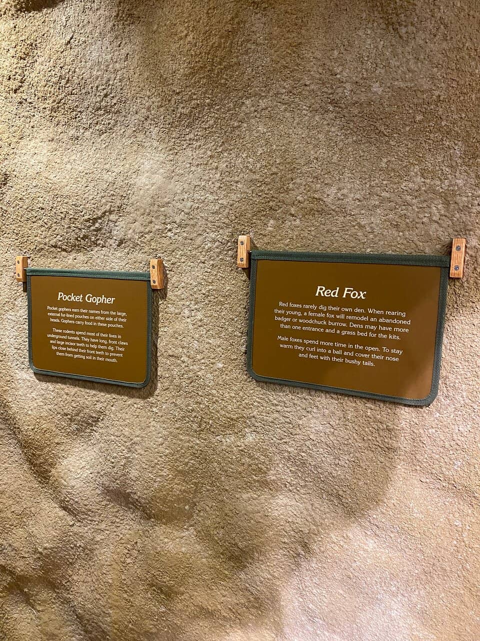 Highlights
