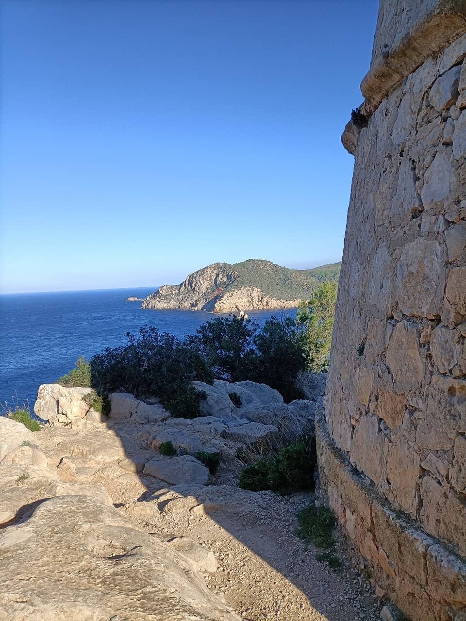 Vertical photo
