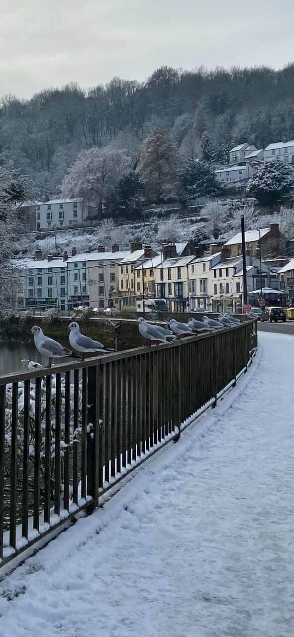 Riverside Stroll