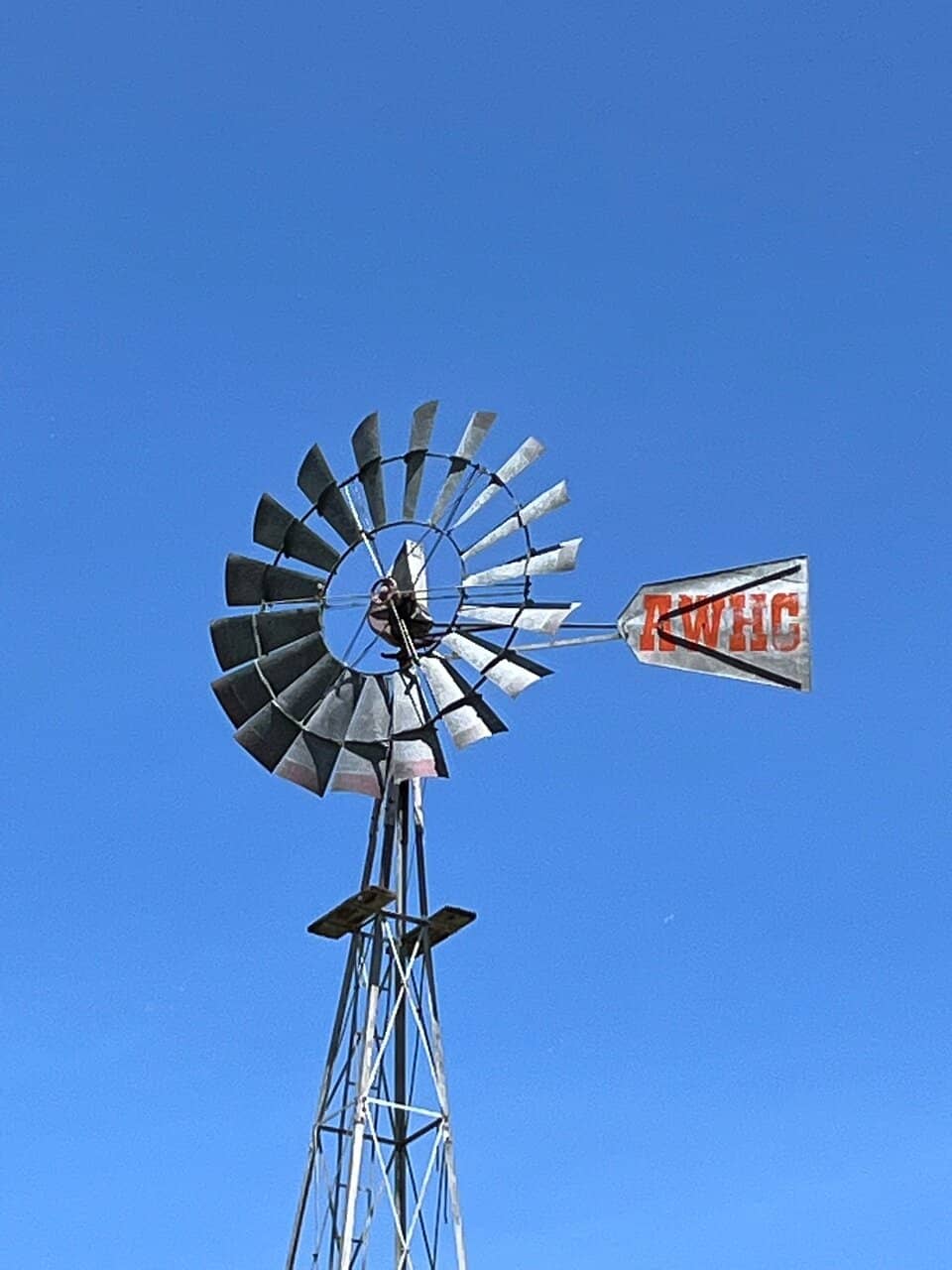 Seasonal Festivals