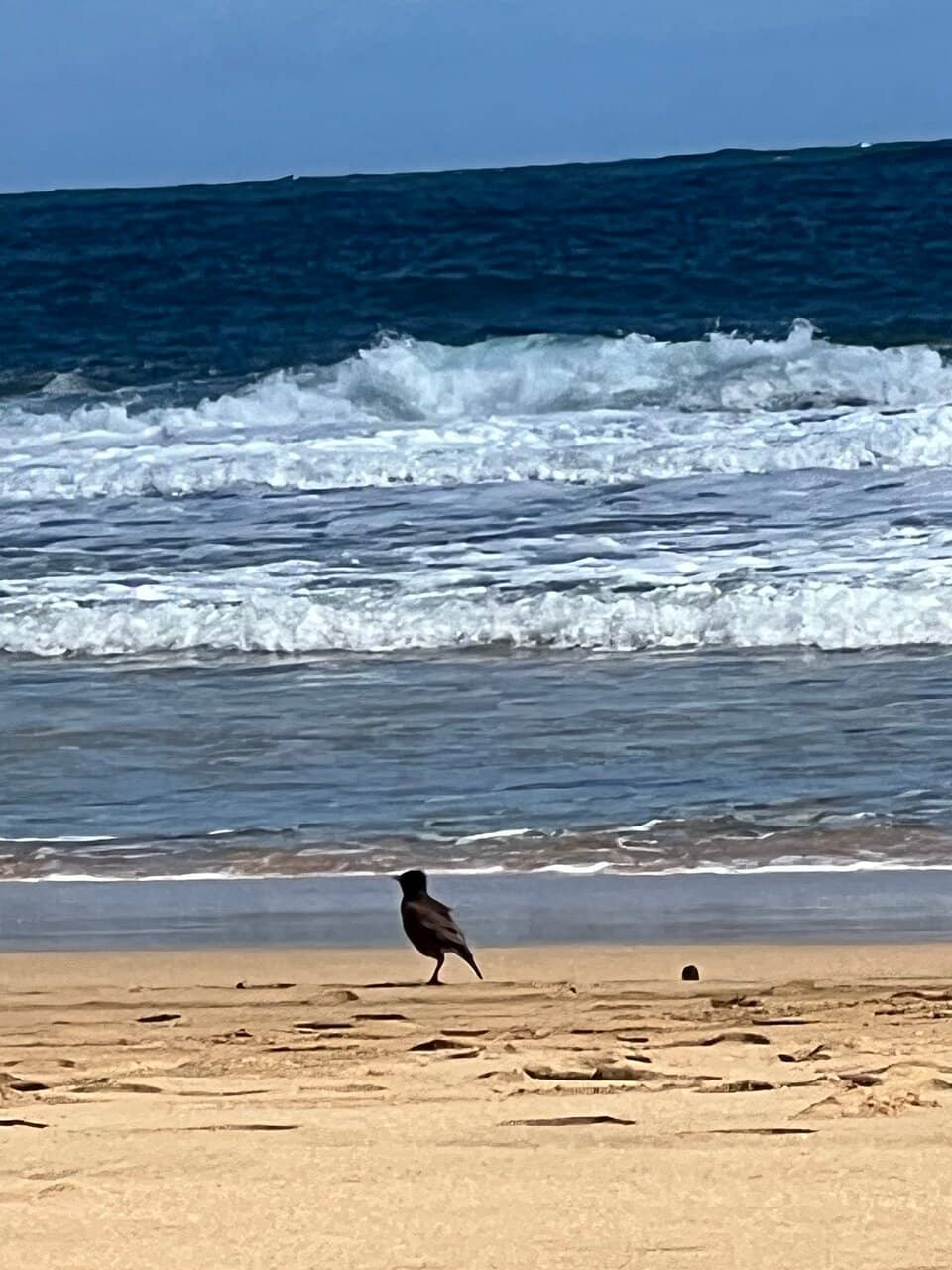 Pristine White Sand Beach