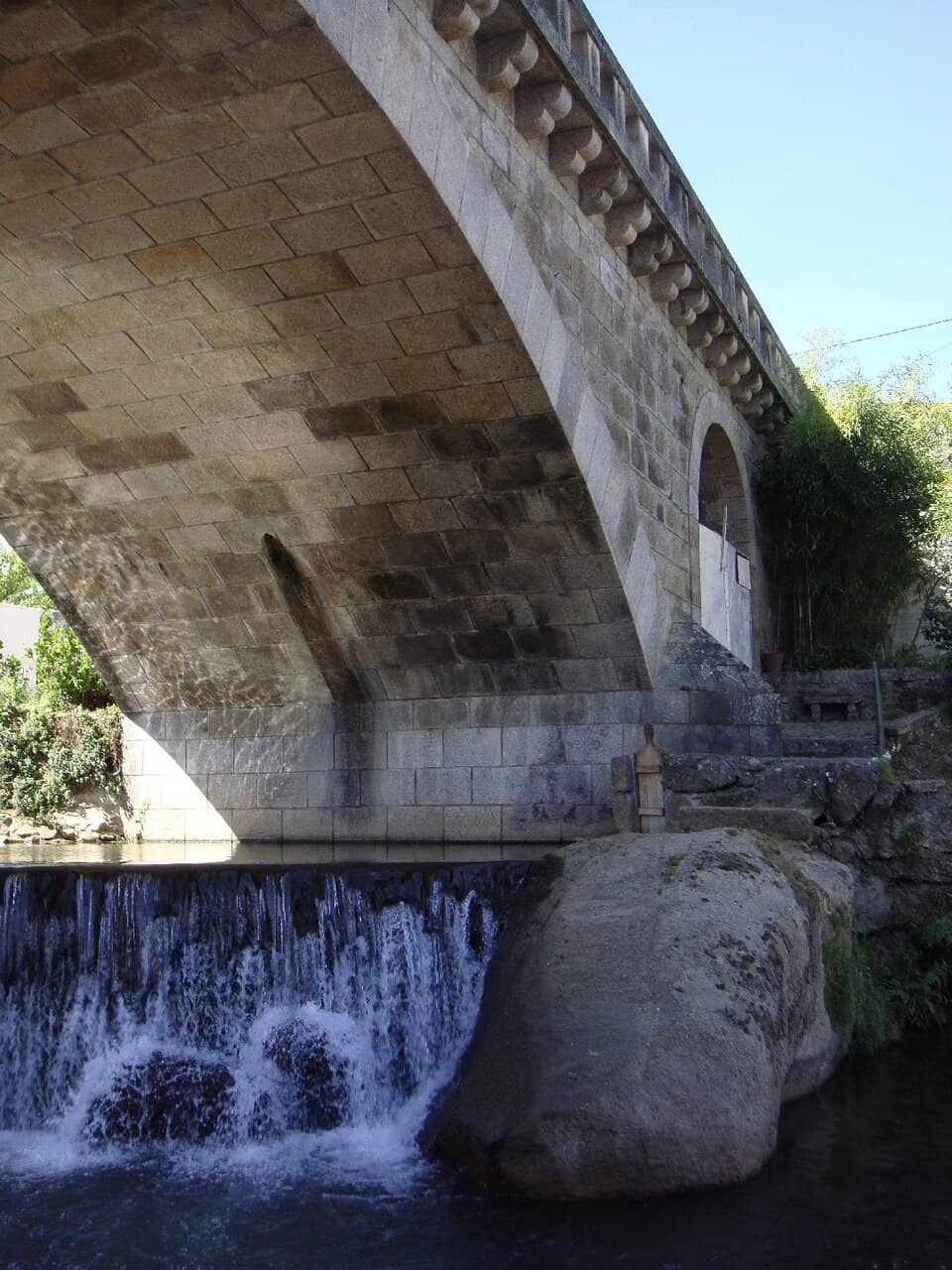 Vertical photo