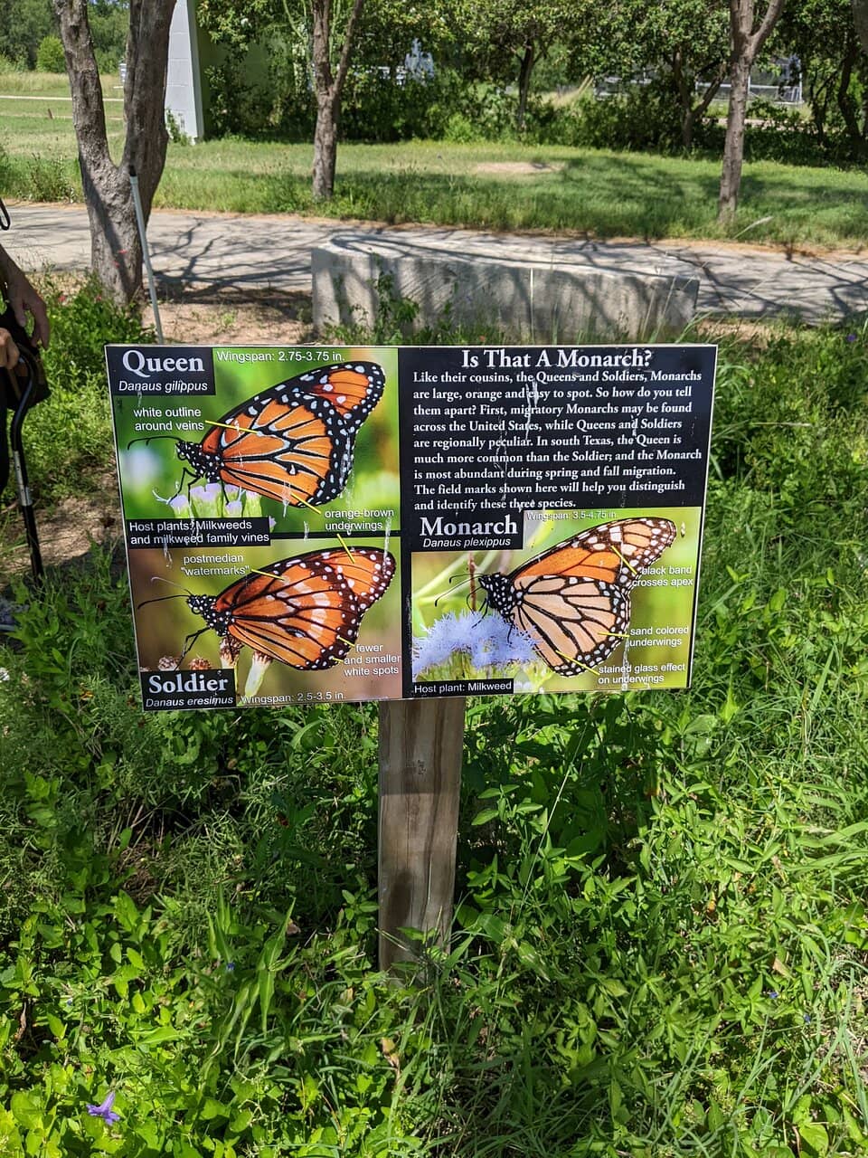 Native Plant Gardens