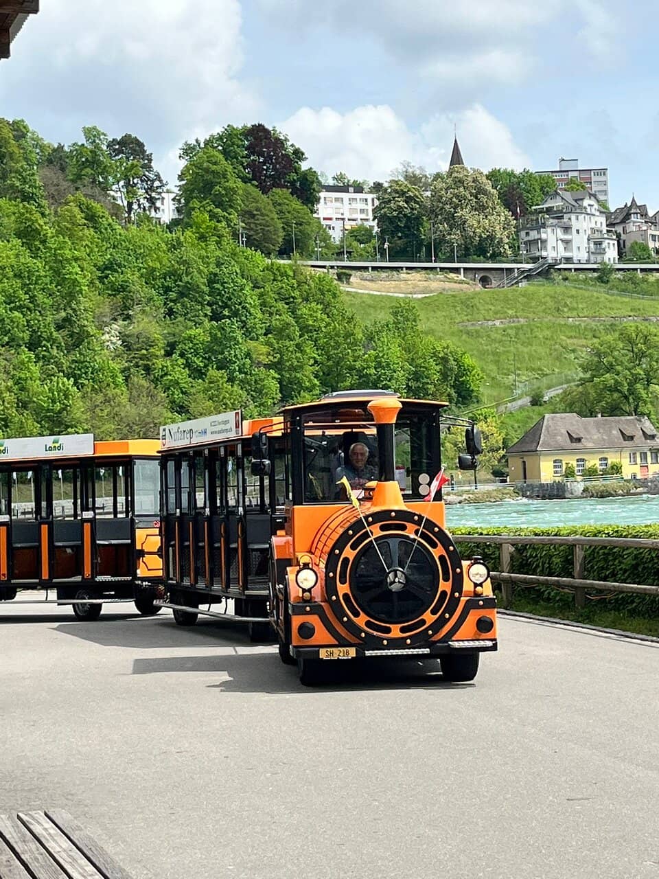 Rheinfall Views