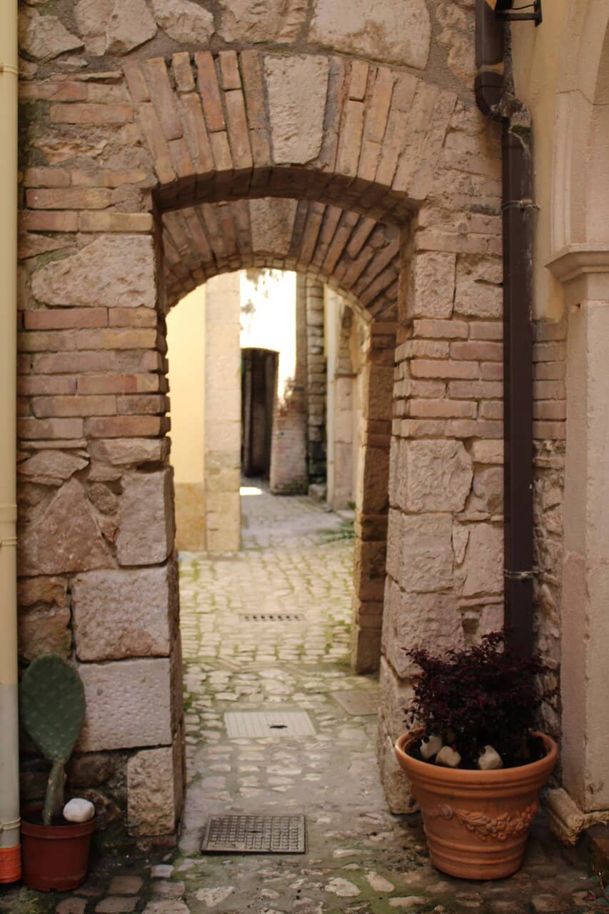 Vertical photo