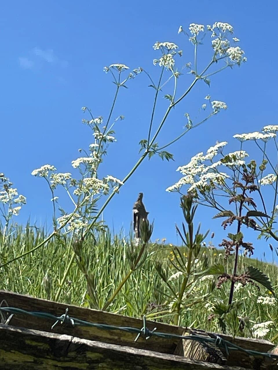 Passionate and Knowledgeable Guides