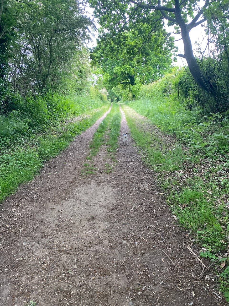 The Wildlife Trust Bird Watching Centre