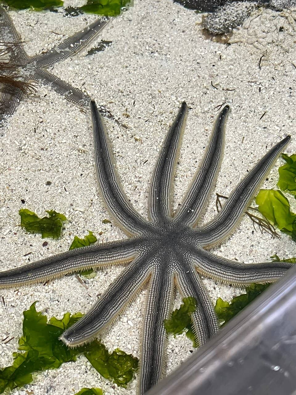 Passionate Staff & Conservation Focus