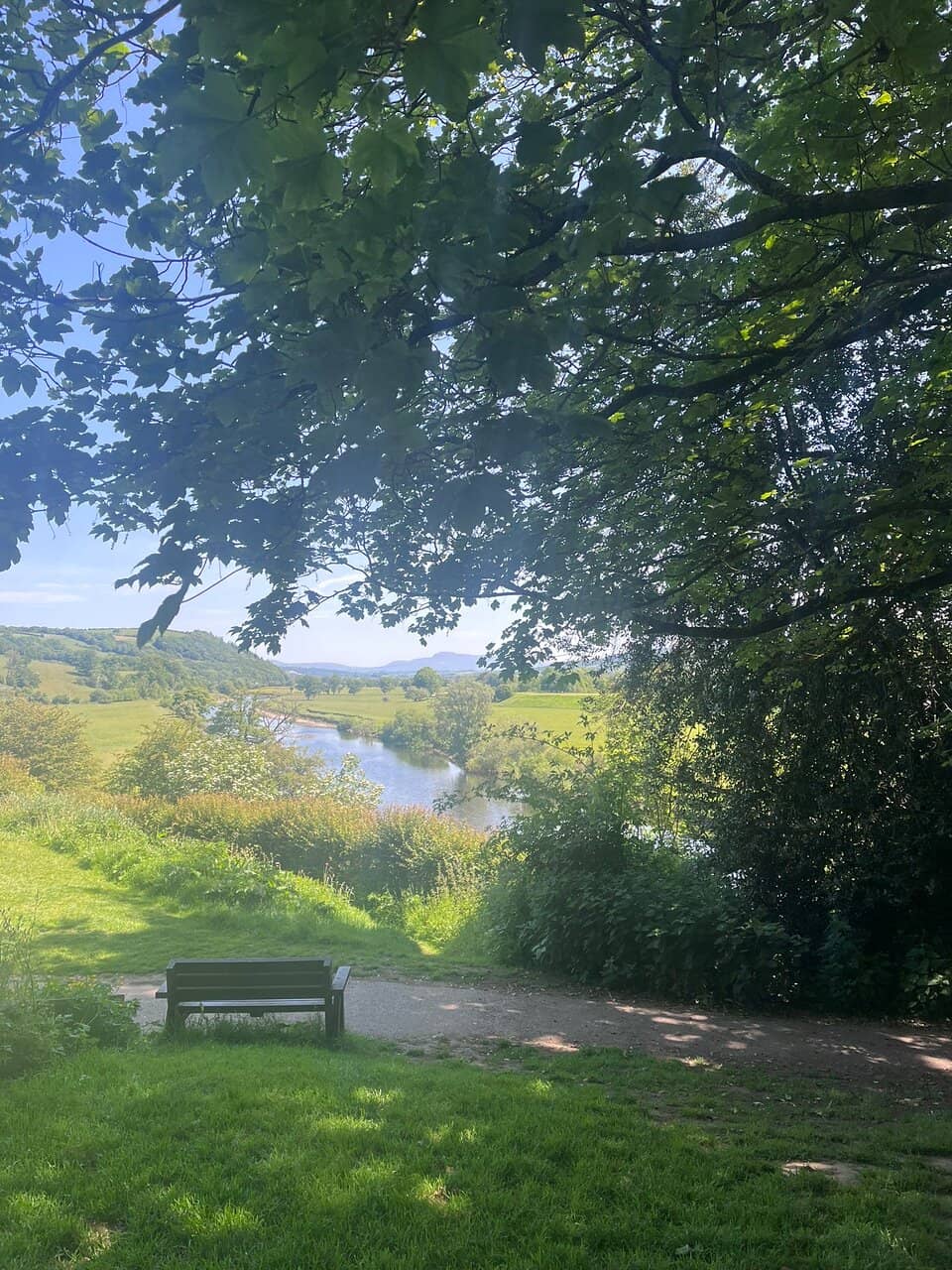 Aughton Woods