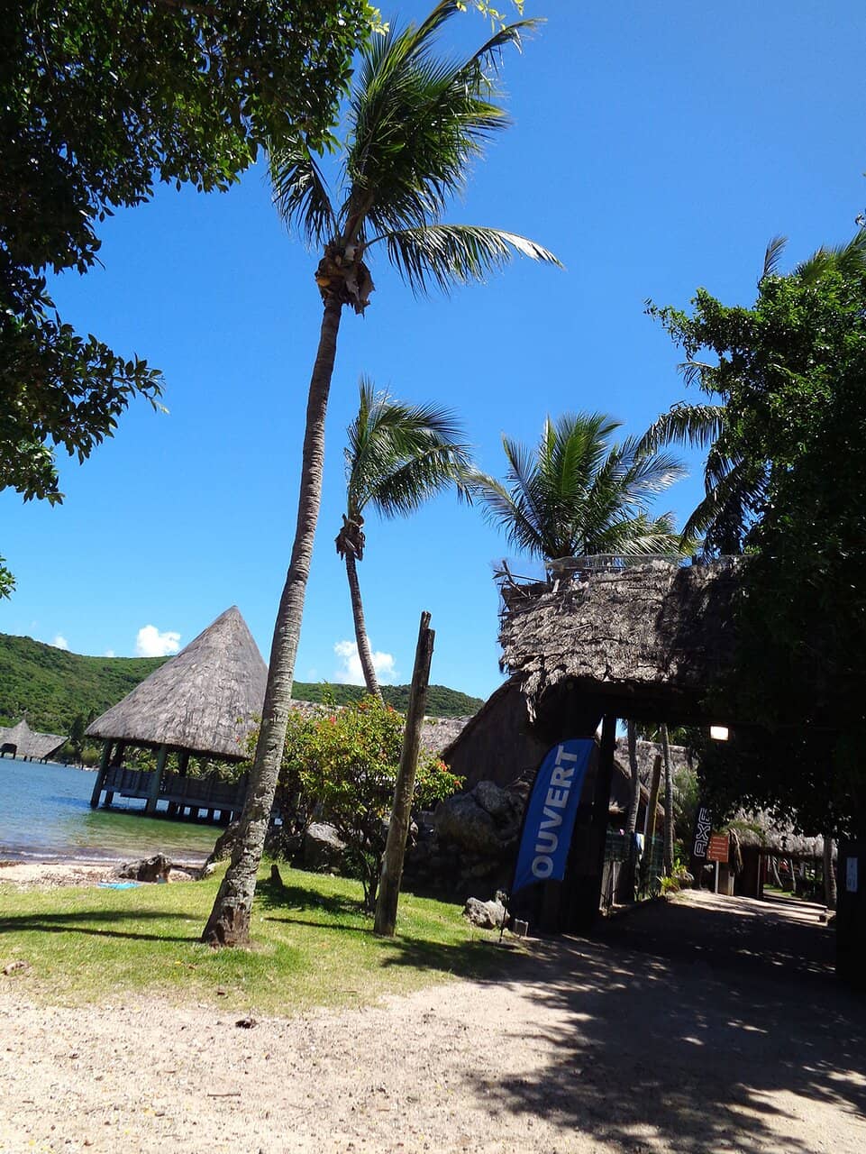 Tranquil Beach Ambiance