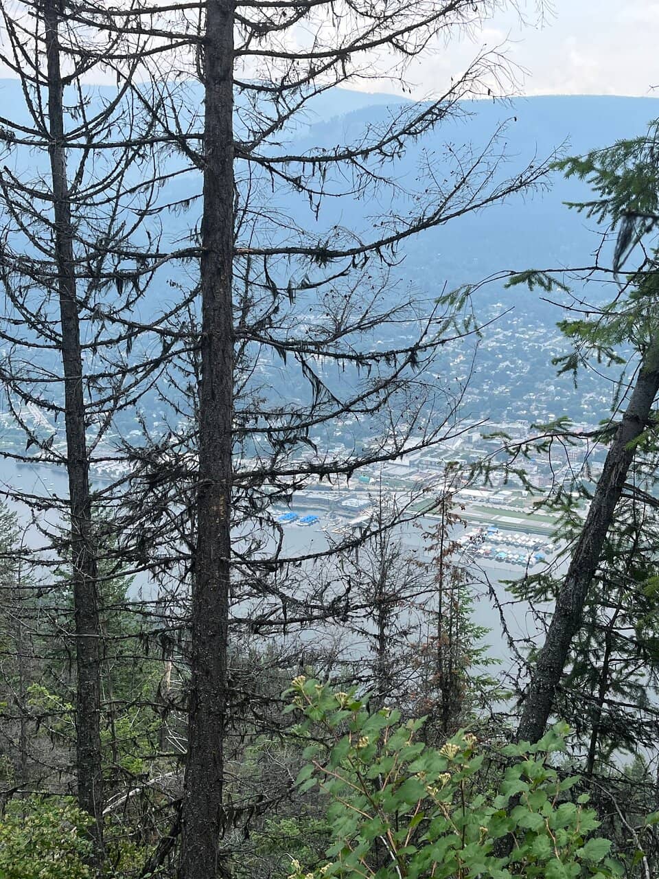 Nelson Valley Vista