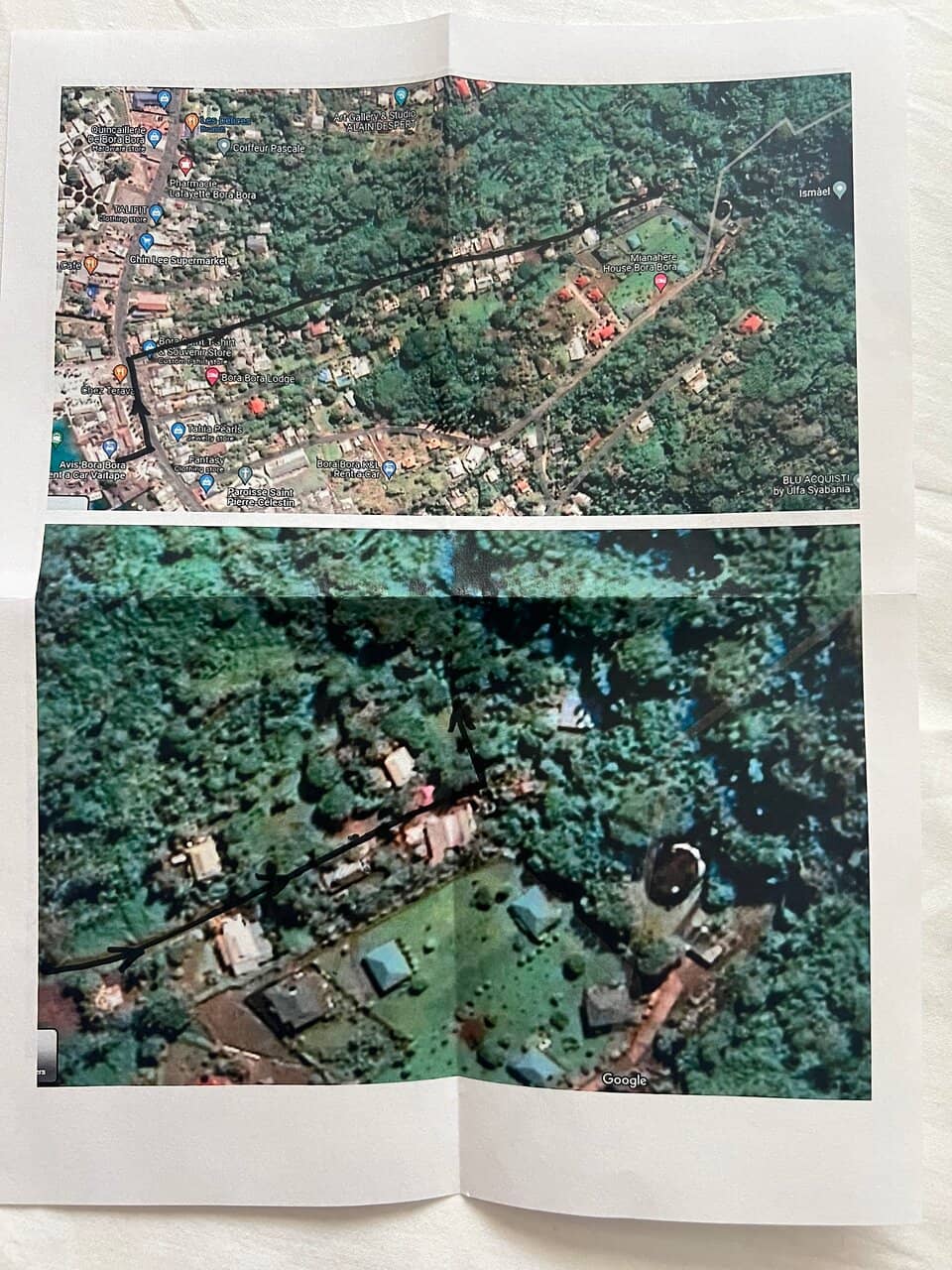 Lush Tropical Trails