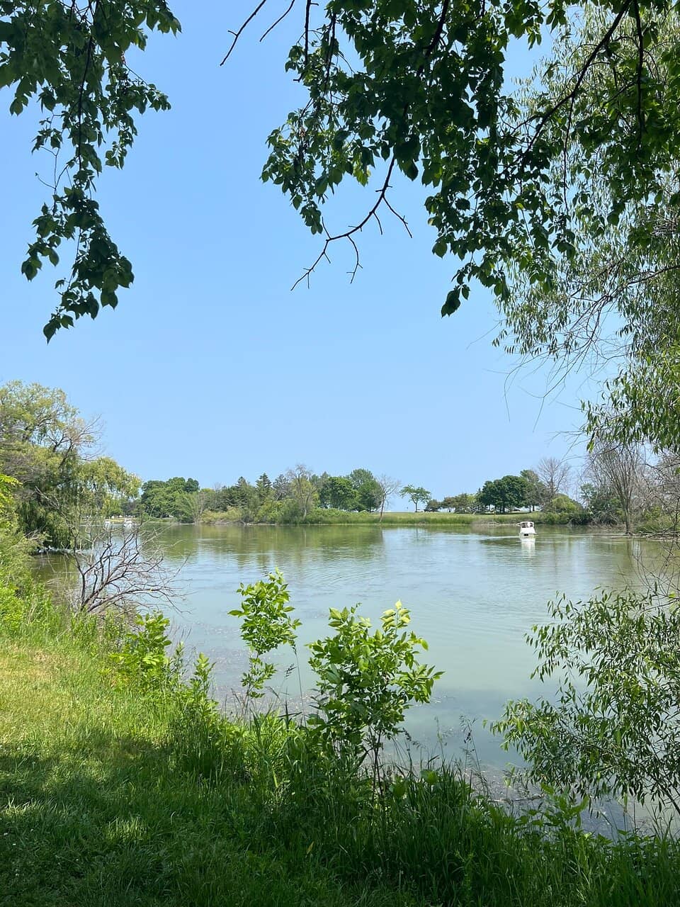 Lagoon and Paddle Boats