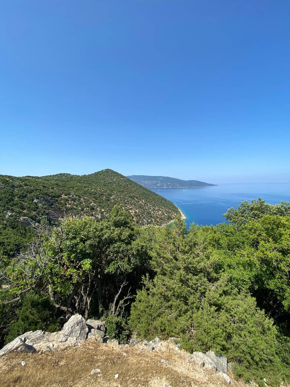 Lush Green Mountain Backdrop