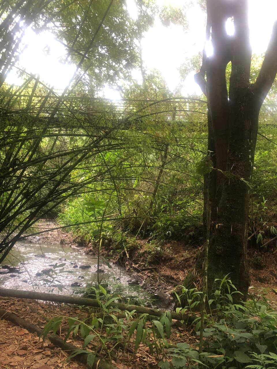 Festival de Mitos y Leyendas