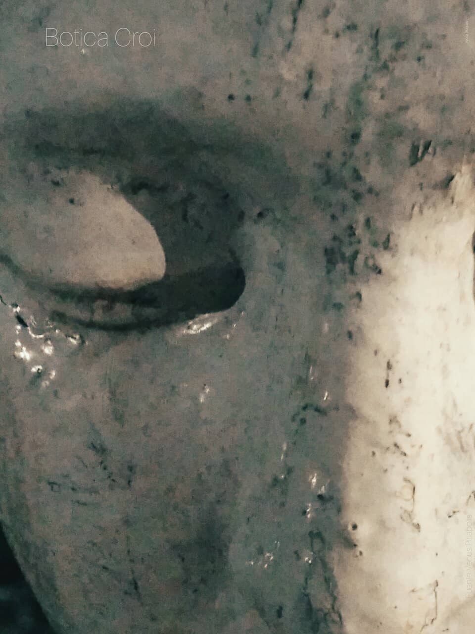 The Fountain of Venus