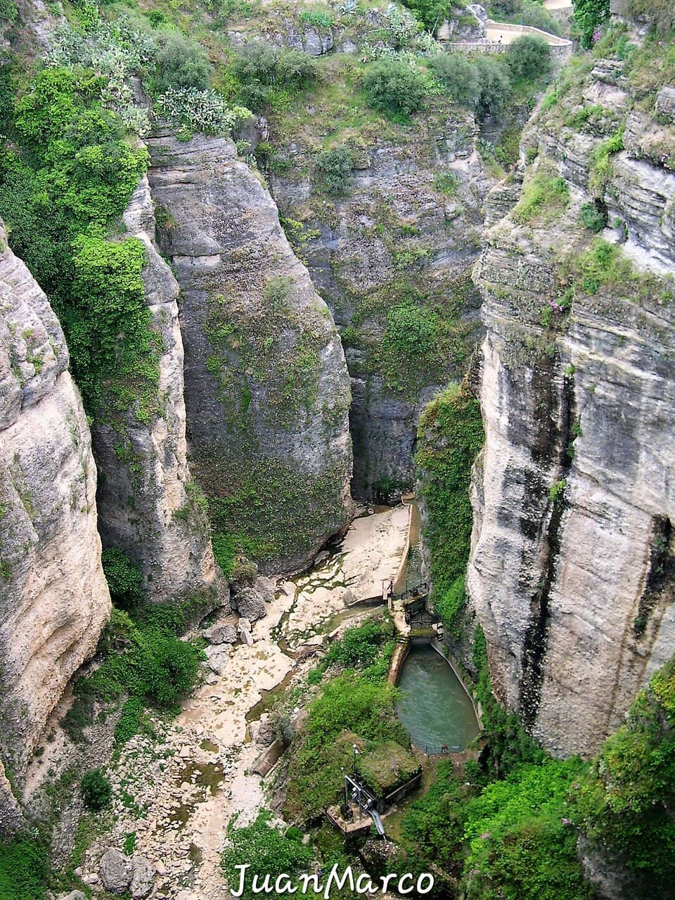 Vertical photo