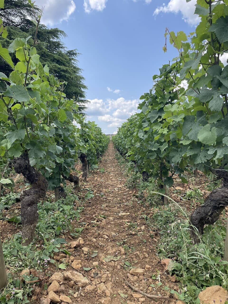 Exceptional Wine Selection