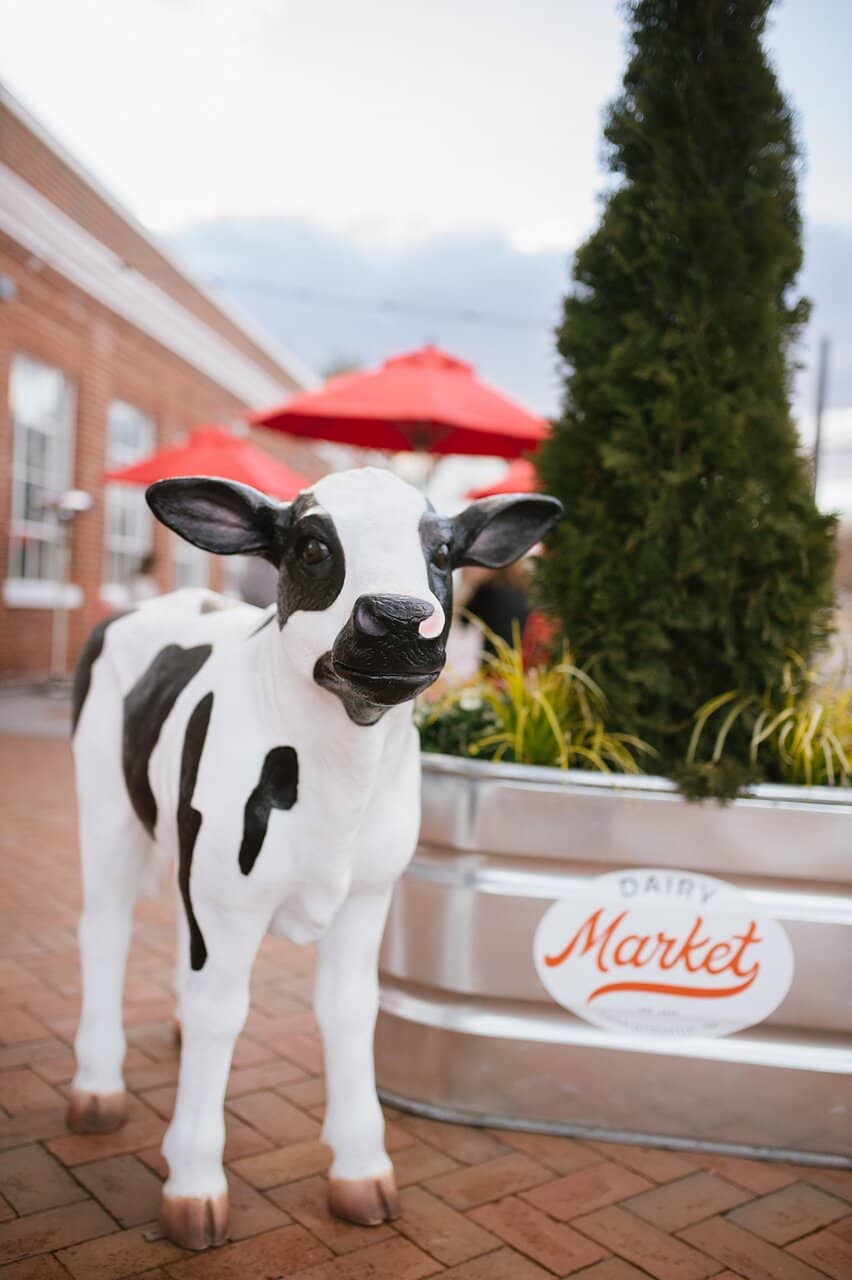 Culinary Exploration