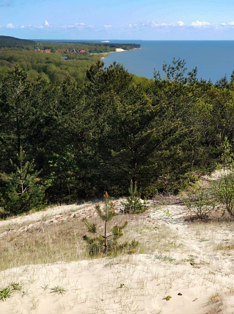Efa Dune's Majestic Sands