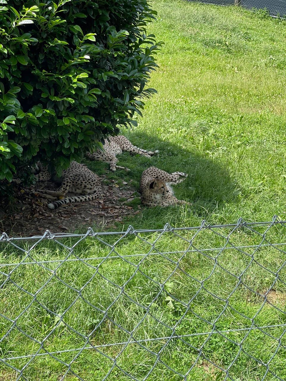 Picturesque Walking Paths