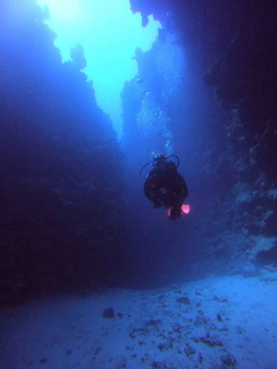Vertical photo