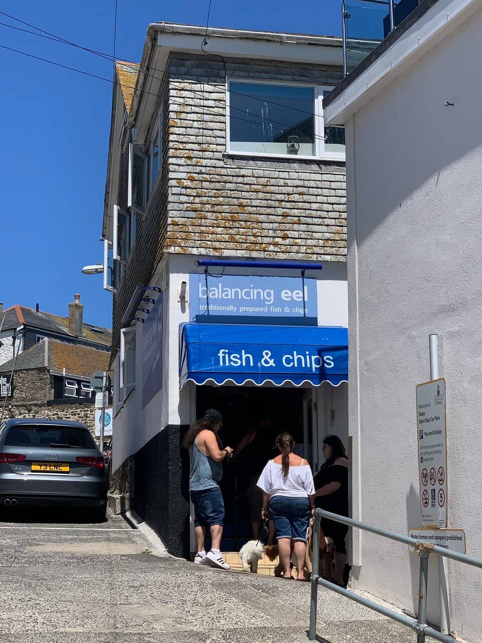 Dog-Friendly Ambiance