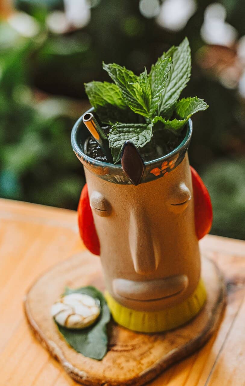 Tasting Menu Adventure