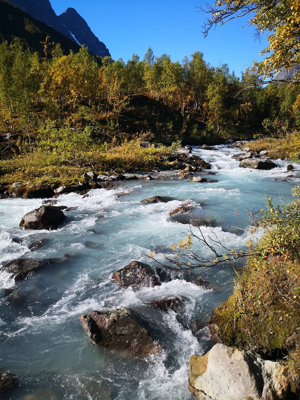 The Scenic Hike