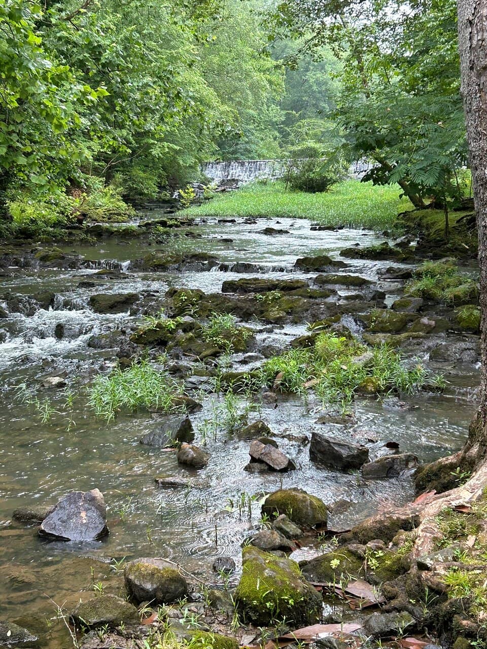 Outdoor Recreation