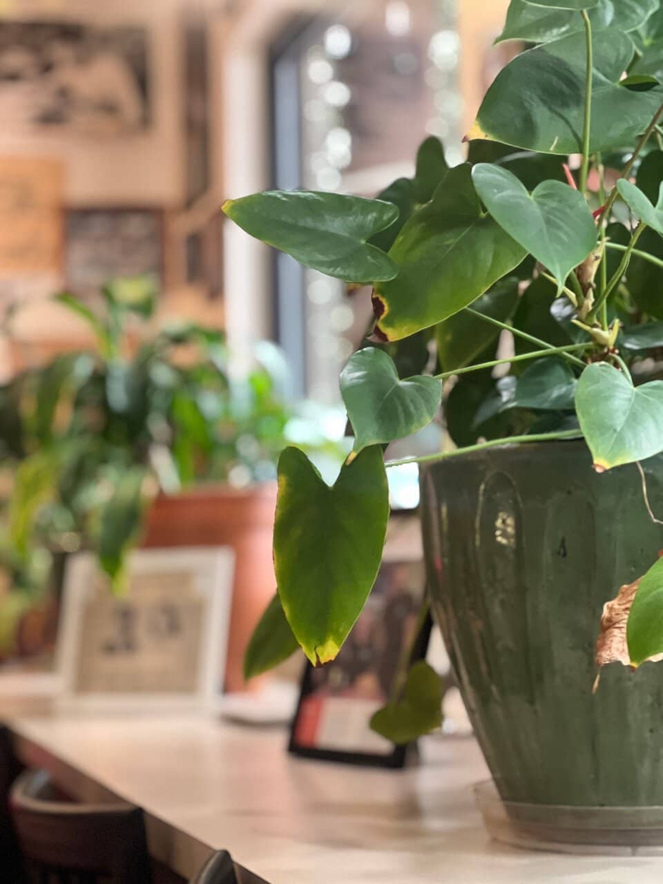 Homemade Spaghetti and Meatballs