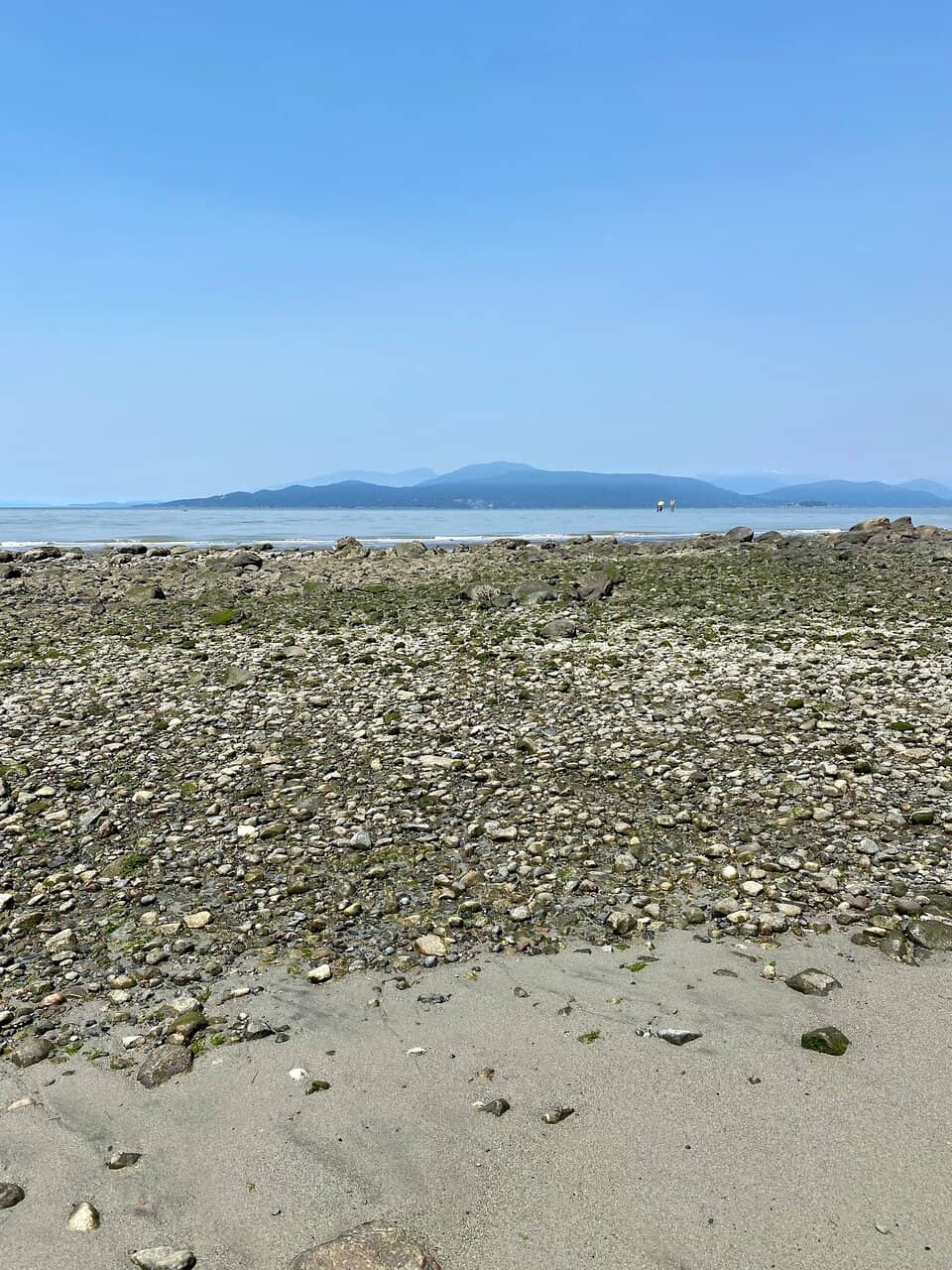 Beaumaris Marine Sanctuary