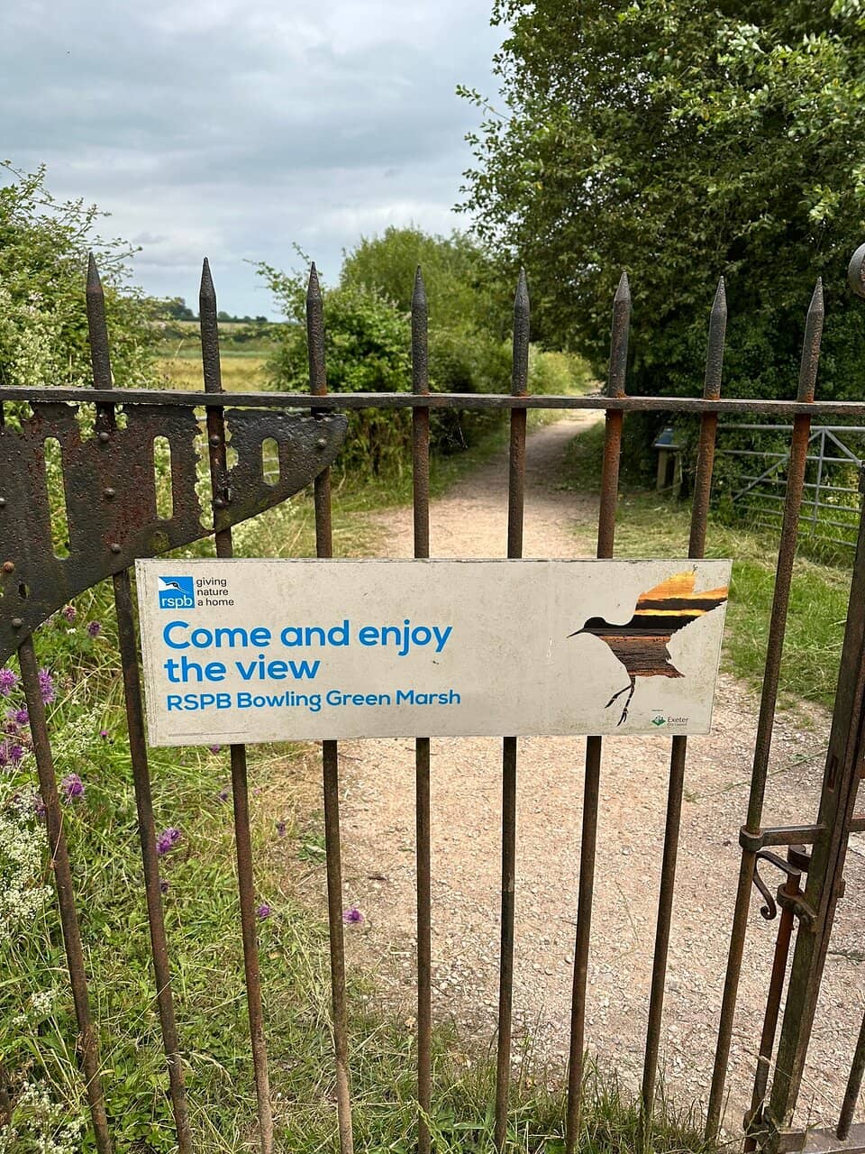 Highlights
