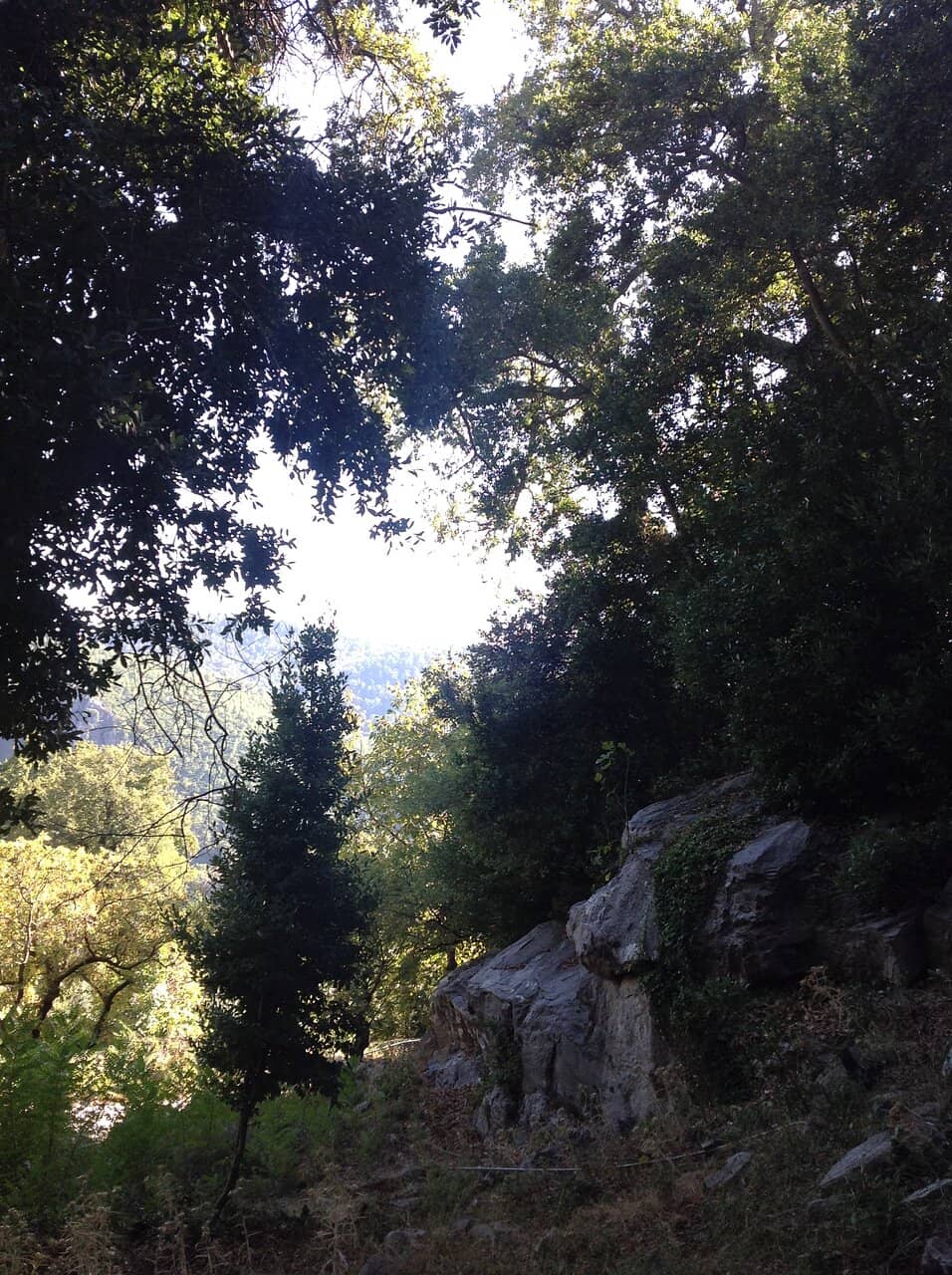Vertical photo