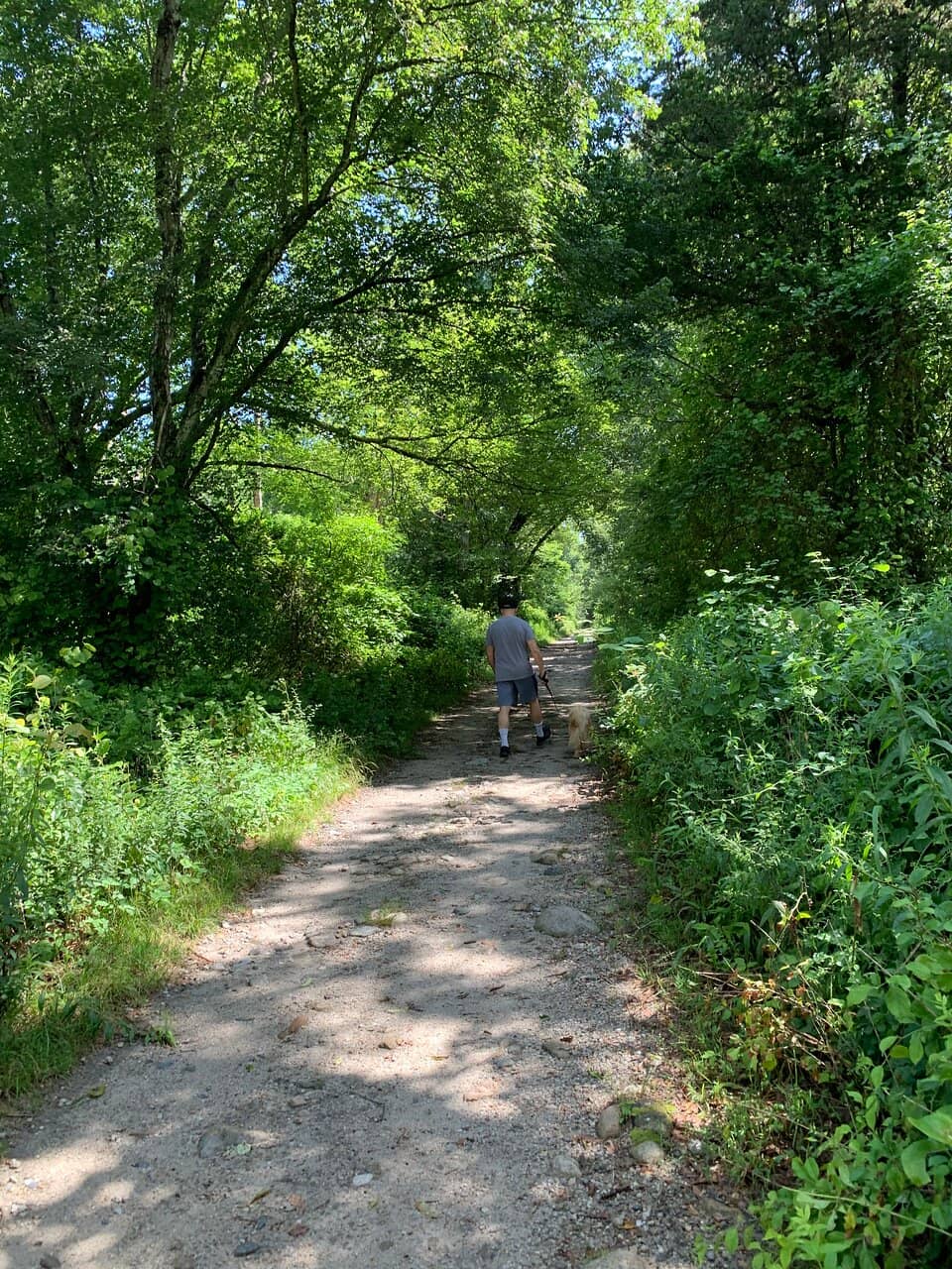 Dog-Friendly Exploration