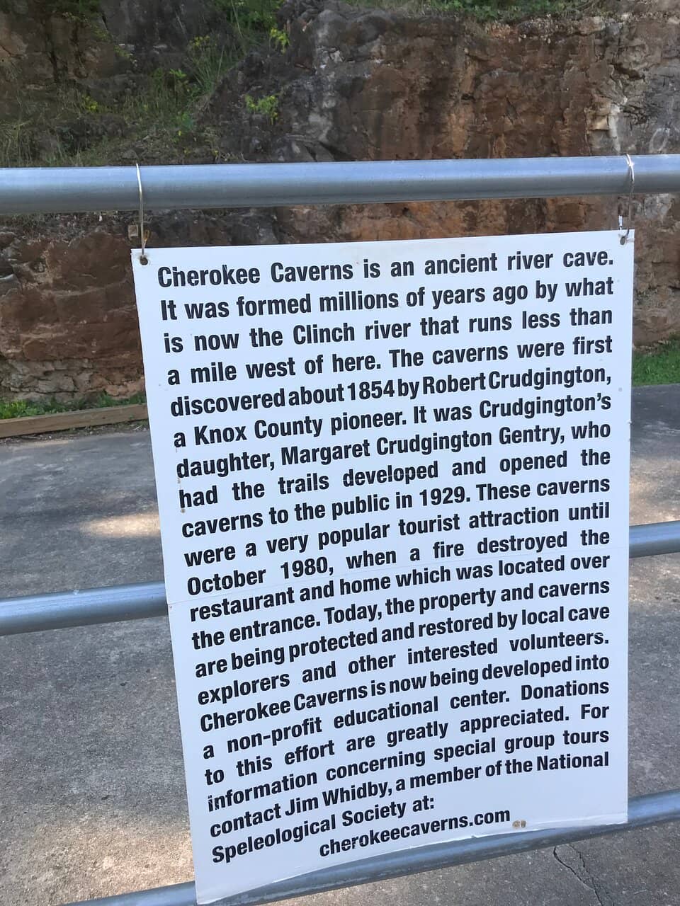 Underground Movie Nights