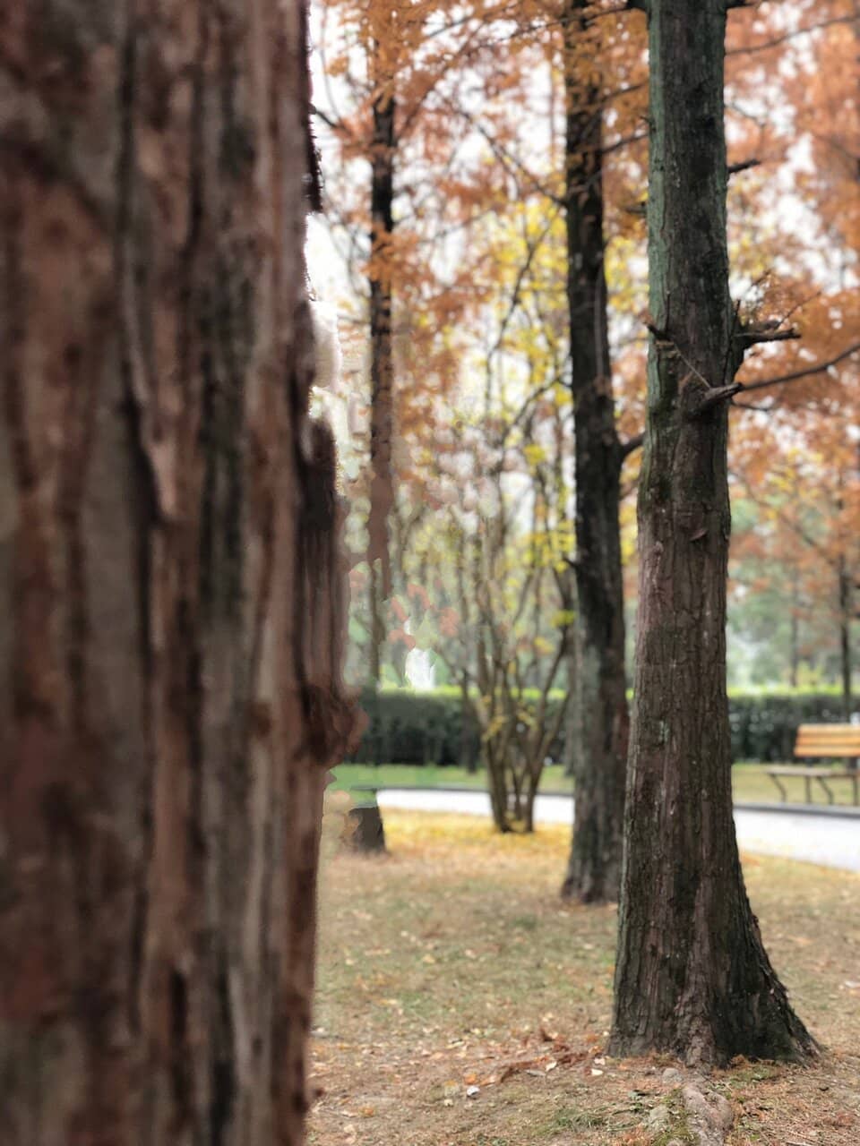 Vertical photo
