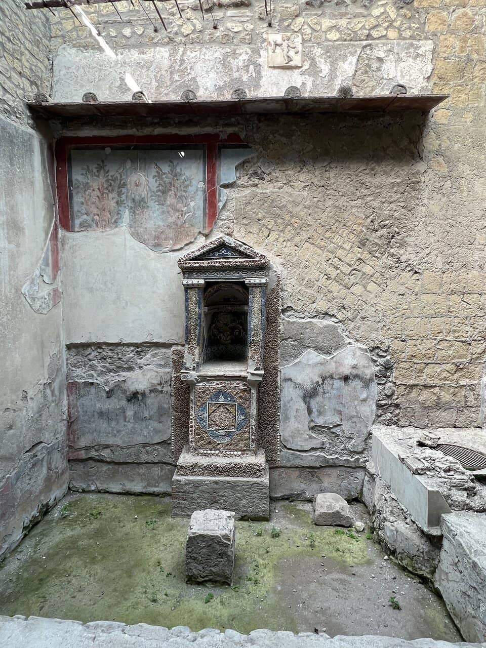 The Cetacean Pathway