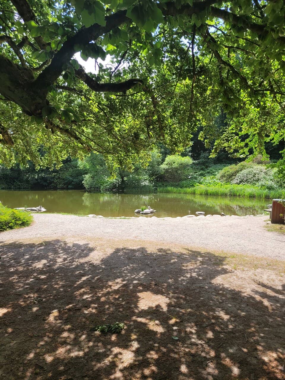 Picnic Spots