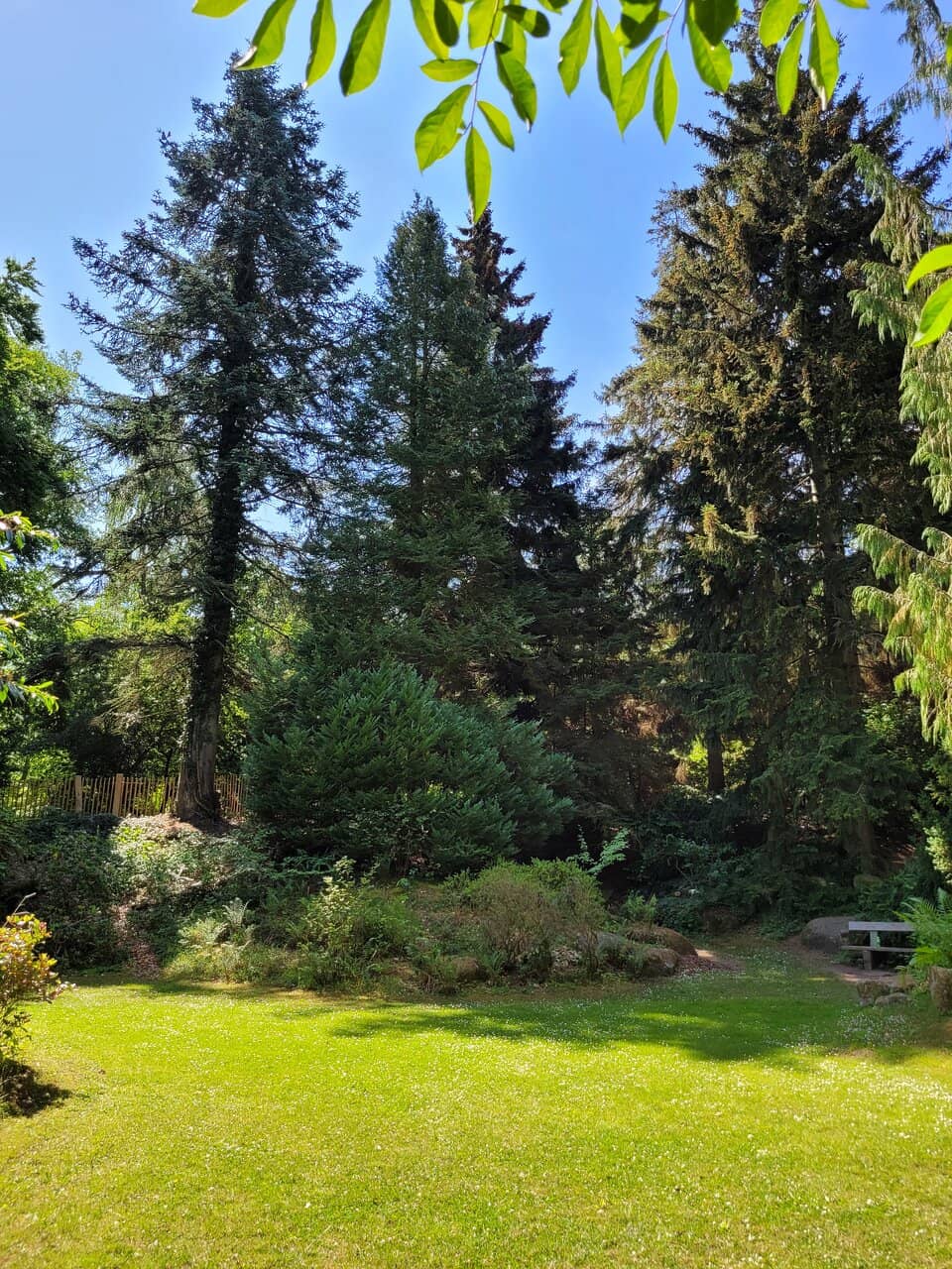 Lush Greenery