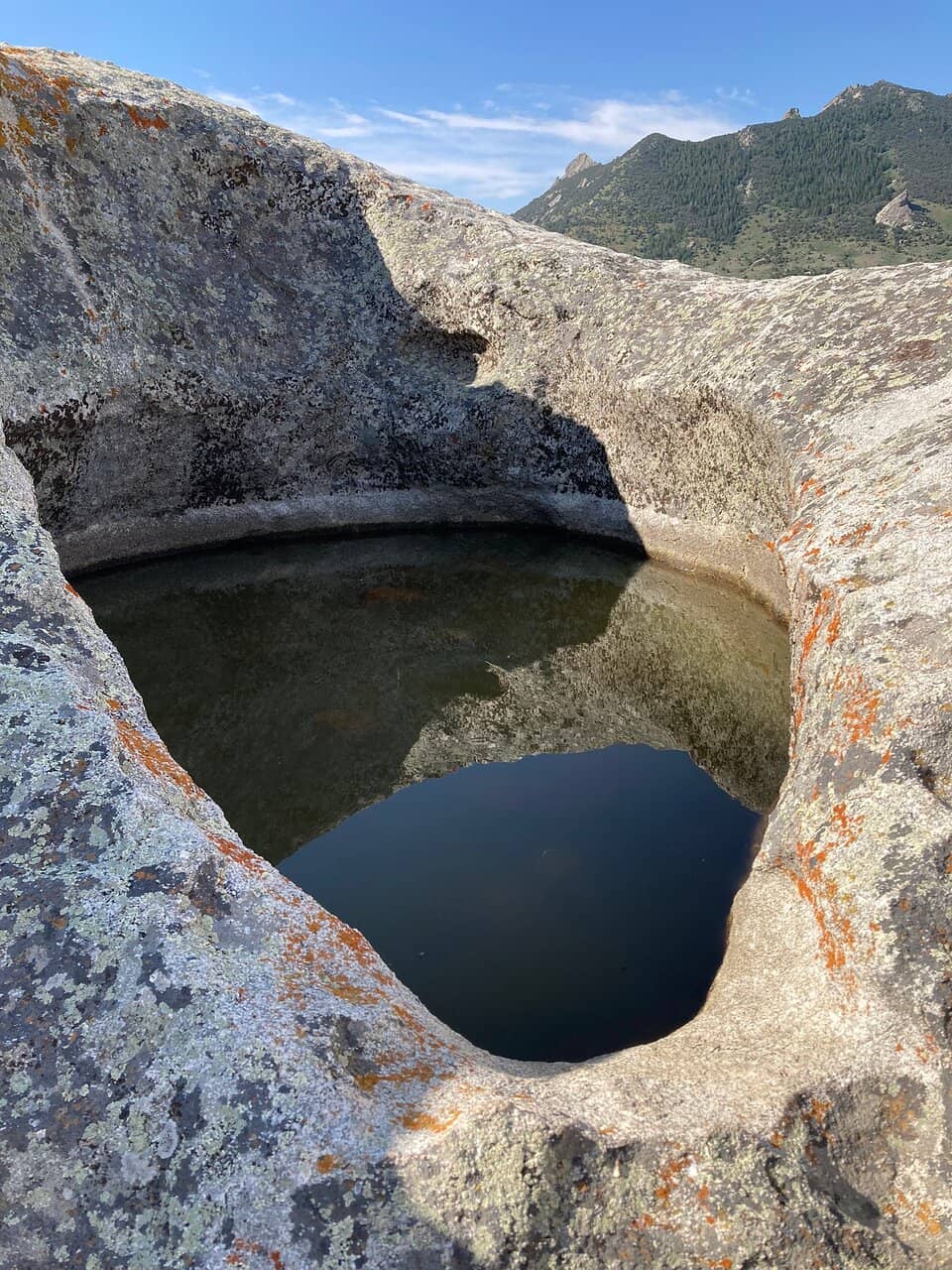Window Arch