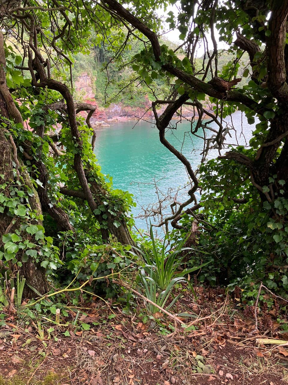 Secluded Pebble Beach
